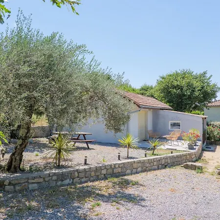 Figuier - Village De Joyeuse